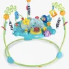 Baby Einstein Curiosity Cove 2-in-1 Hoppegynge