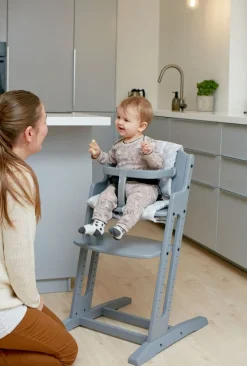 BabyDan Danstolen Højstol inkl Bøjle & Rem, Grå