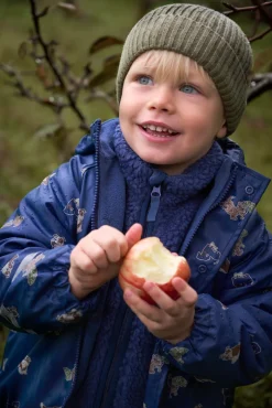 CeLaVi Teddy Jakke, Oceania