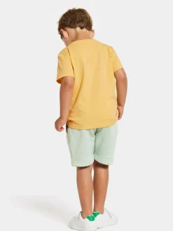 Didriksons Corin Powerstretch Shorts, Pale Mint