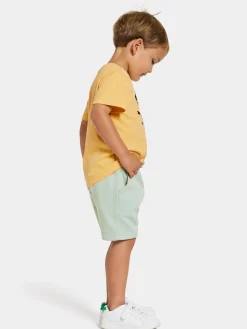 Didriksons Corin Powerstretch Shorts, Pale Mint