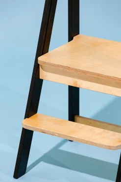 Duck Woodworks Sammenklappeligt Læringstårn, Sort