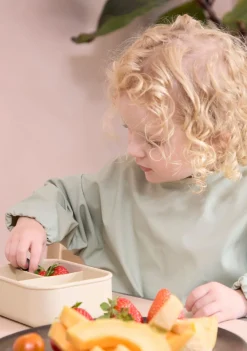 FILIBABBA  Langærmet Hagesmæk, Desert Sage