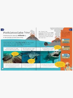 Havet - Leksikon for de yngste