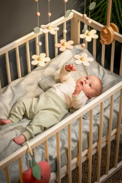 Jabadabado Sengeuro Blomst, Multi