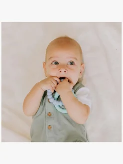 Jellystone Designs Sunshine Bidering, Nature