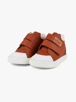 Kavat Fiskeby Begyndersko, Light brown