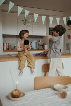 Kidywolf KIDYMIC Karaokemikrofon All-in-One, Pink