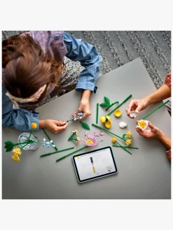 LEGO Botanicals 10347 Lille sommerlig buket