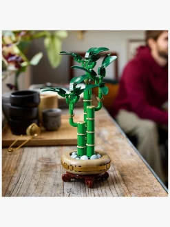 LEGO Botanicals 10344 Lykkebambus