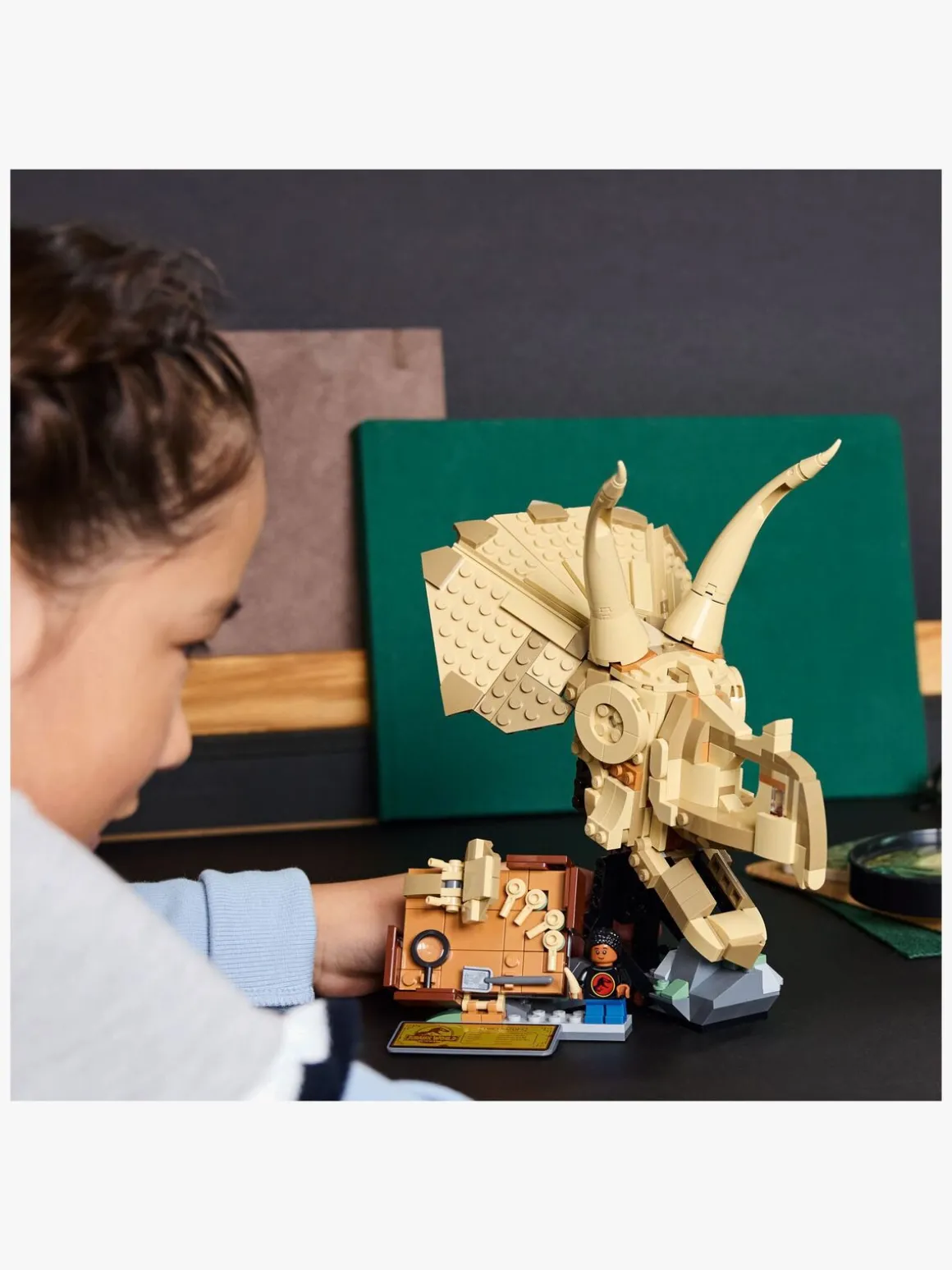 LEGO Jurassic World 76969 Dinosaurfossiler: Triceratops-kranium