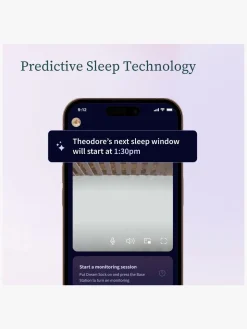 Owlet Dream Sock Babyalarm inkl. Owlet Cam 2, Mint