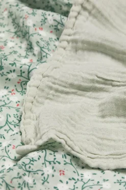 Petite Chérie Stofbleer 3-pak, Floraison