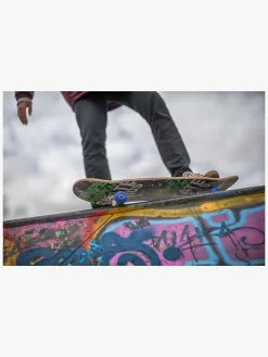 Pinepeak Skateboard, Blå/Grøn