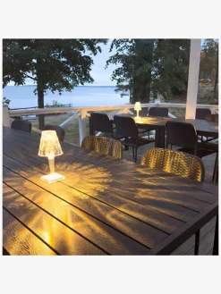 Powerpal Lumi Crystal Lampe