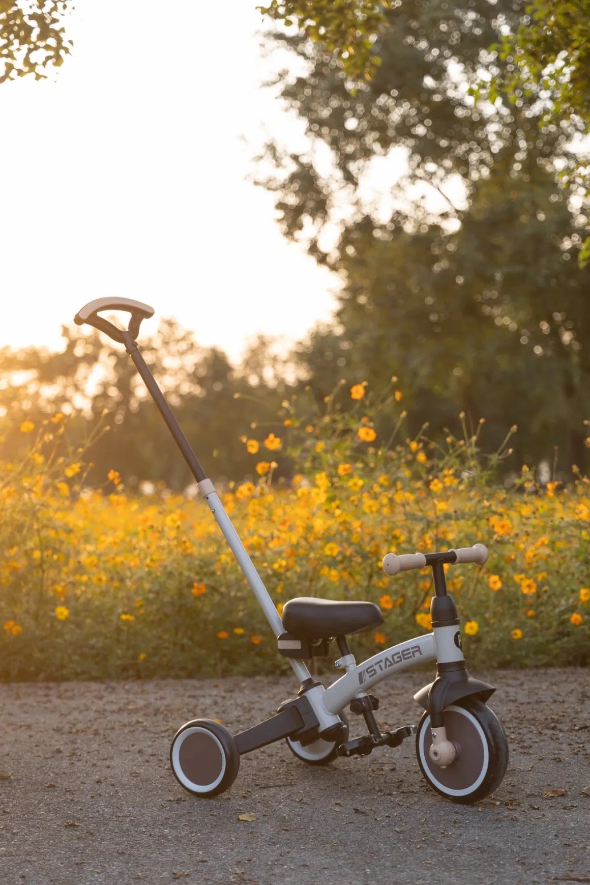 QPlay Stager 3-i-1 Transformerbar Trehjulet Cykel, Brun