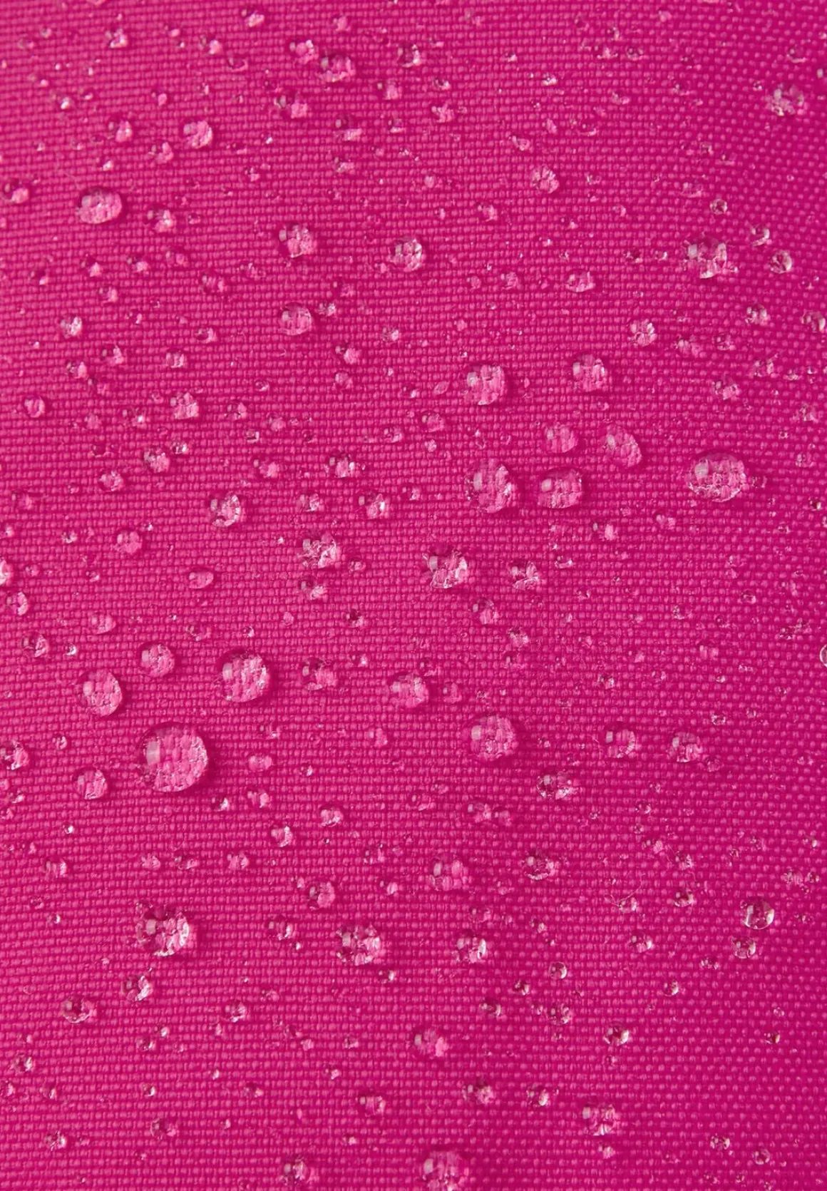 Reima Ote Vanter, Rosy Berry