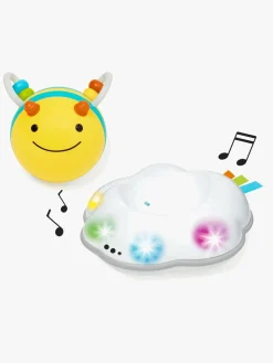 Skip Hop Explore&More Kravlelegetøj, Bi