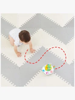 Skip Hop Explore&More Kravlelegetøj, Bi