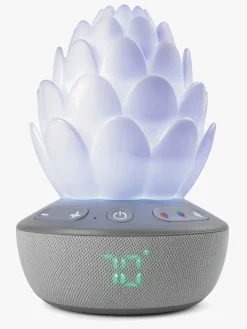 SkipHop Sukkulent Natlampe med Grædesensor