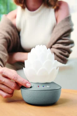 SkipHop Sukkulent Natlampe med Grædesensor