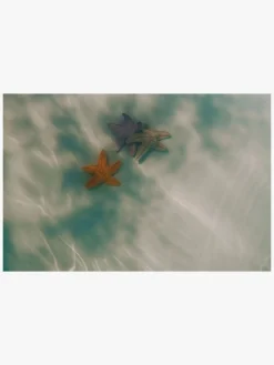 Swim Essentials Dykkelegetøj 3-pak, Bubbles Sea Stars