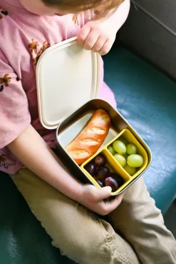 The Cotton Cloud Stainless Steel Madkasse, Funky Dogs